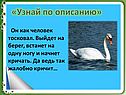 Человек