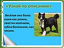 Ушки