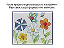 Какие красивые цветы выросли на полянке