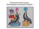 Тюлени выступают в цирке